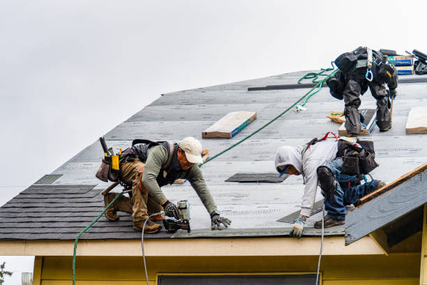 Professional Gutter Installation technician working in Wadena, IA